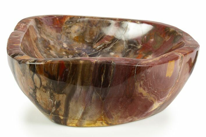 Polished Petrified Wood Bowl/Dish - Madagascar #304673